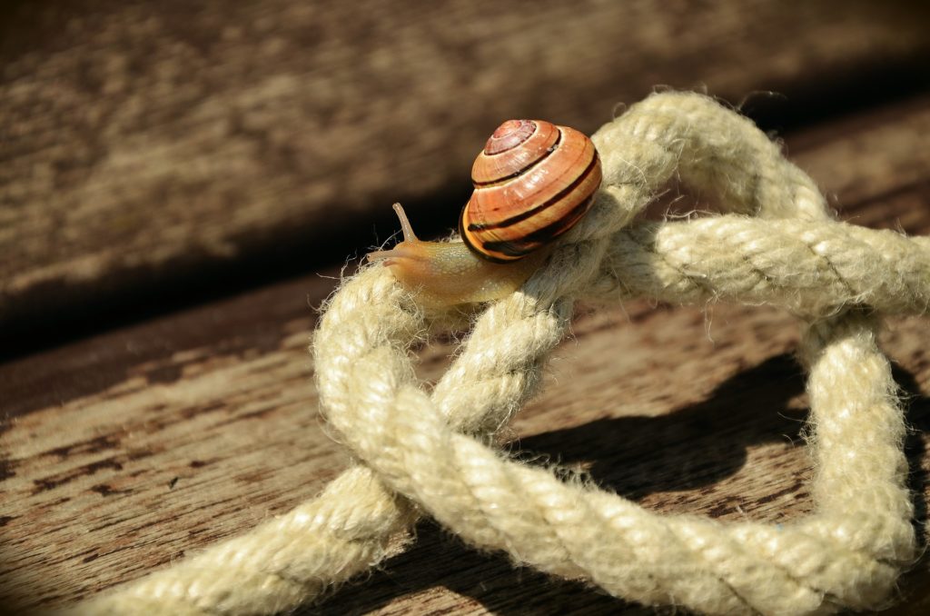 Ein Seil mit einer Schnecke symbolisiert das Schneckentempo.